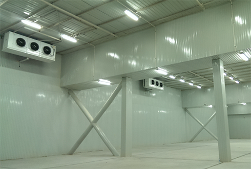 速凍冷庫設(shè)計注意事項及其具備功能有哪些？