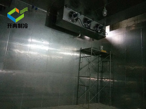 北京冷庫(kù)安裝電解液防爆冷庫(kù)報(bào)價(jià) 北京冷庫(kù)安裝電解液防爆冷庫(kù)報(bào)價(jià)