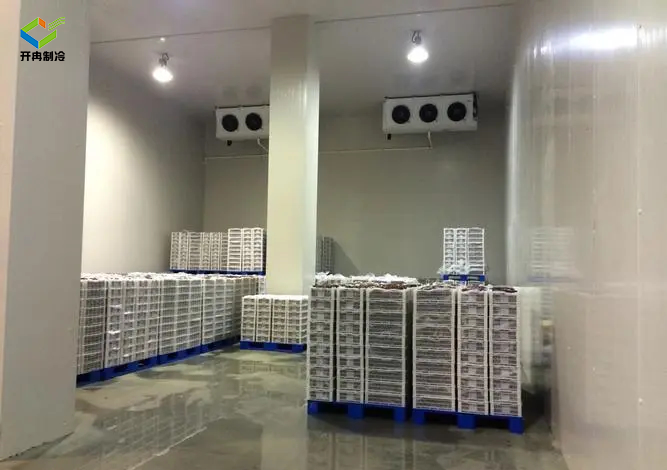 如何讓冷庫更加節能省電?提高冷庫節能的主要措施 如何讓冷庫更加節能省電?提高冷庫節能的主要措施