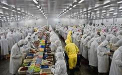 上海電商冷庫建造、運營