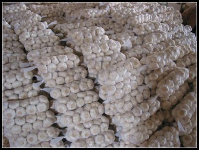 大蒜保鮮冷庫設(shè)計(jì)，冷庫安裝要求