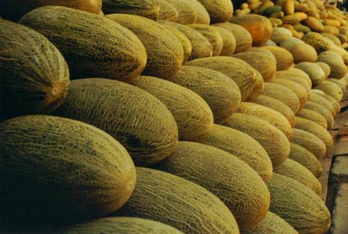 建一座哈密瓜保鮮庫需要多少投資？冷庫設備費用