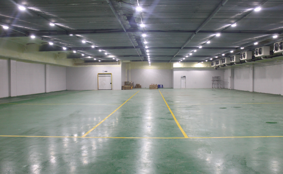 300噸提子葡萄冷藏庫(kù)造價(jià)，提子葡萄冷藏庫(kù)設(shè)計(jì)