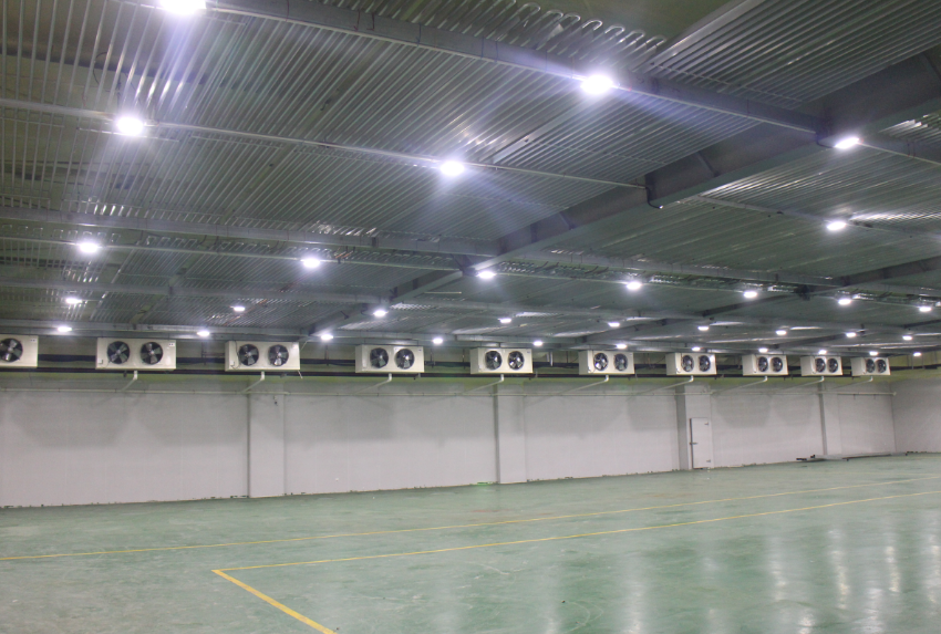  -18~-25℃冷庫設(shè)計(jì)建造價格，600噸冷凍庫造價